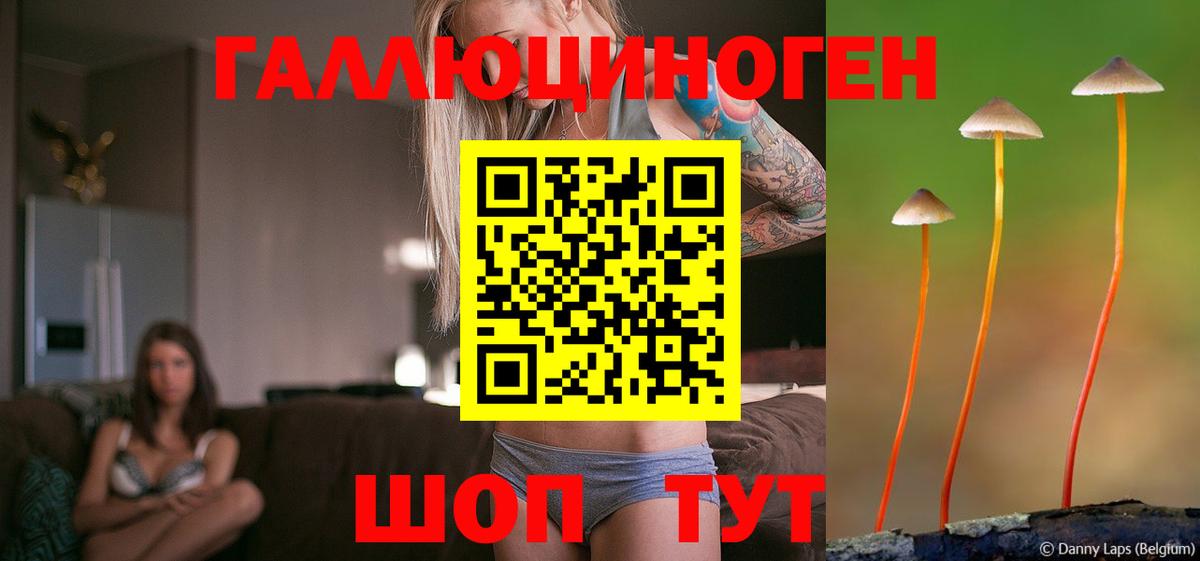 Всеволожск  Псилоцибиновые грибы мицелий  Галлюциногенные грибы GOLDEN TEACHER  цена   Вход с VPN 